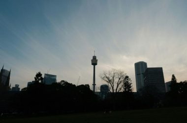 A view of a city skyline from a park