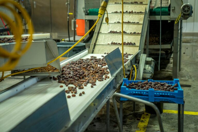 Foods engineered to combine sugar, salt, and fat in specific ratios are activating the same neural pathways as nicotine
