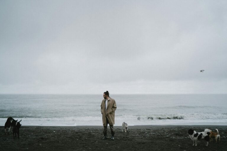 A solitary man walks on a cloudy beach with several dogs around him, conveying a moody and introspective atmosphere.