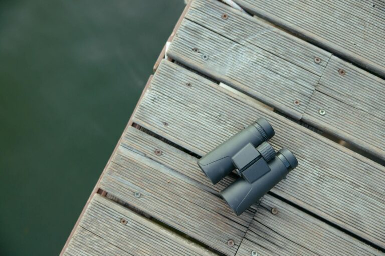 Psychologists explain why birdwatching is unusually good for your brain. It activates a cognitive pattern most modern hobbies completely miss.