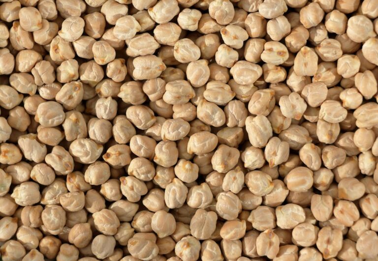 The protein obsession sweeping America isn't making people healthier. It's giving them permission to ignore the one macronutrient that actually matters for longevity.