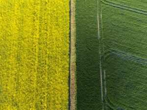 Why a patent attorney and a middle school teacher have completely rational but opposite views on AI