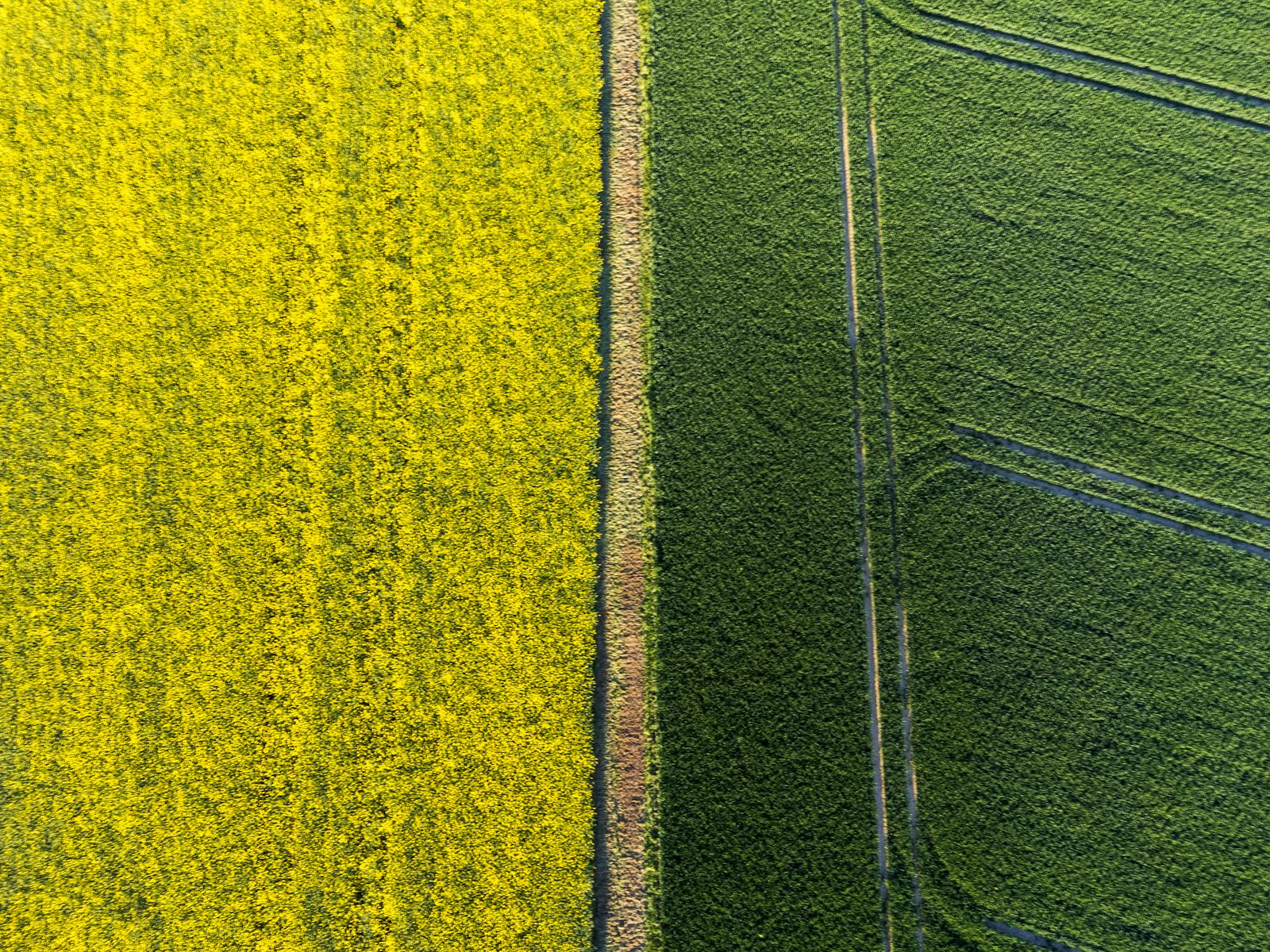 Why a patent attorney and a middle school teacher have completely rational but opposite views on AI