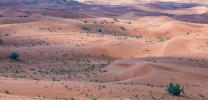 The blockbuster that promises pain instead of triumph: how Dune Part Three breaks Hollywood's hero formula