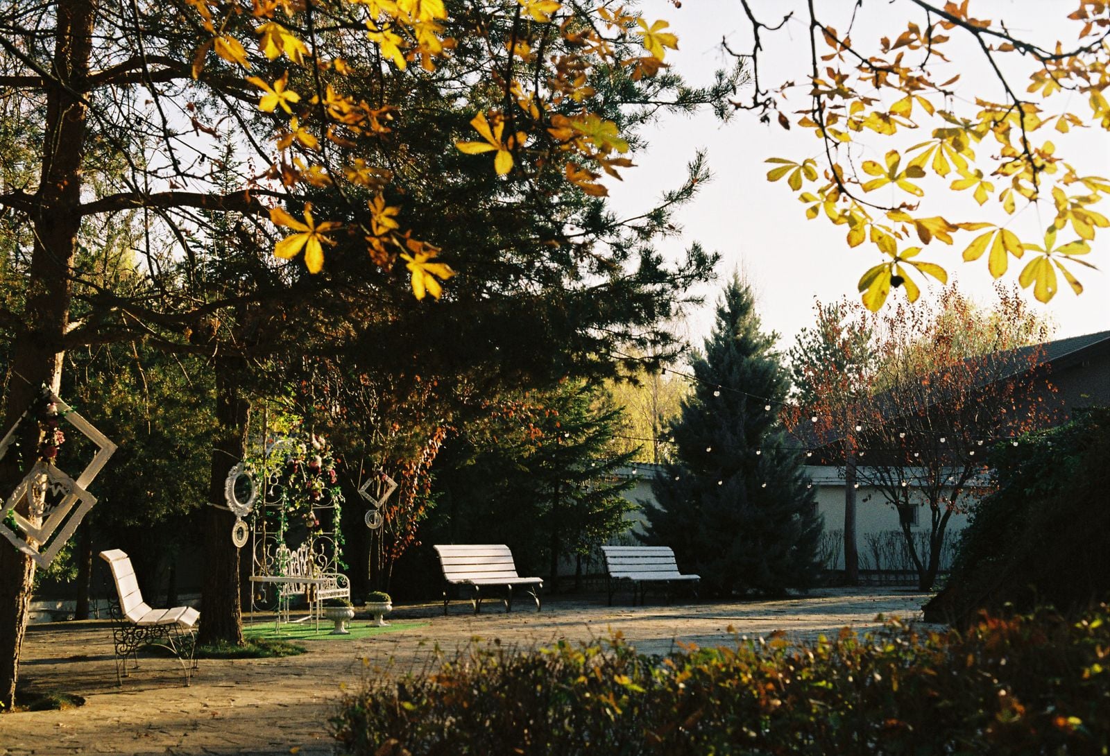 empty park bench