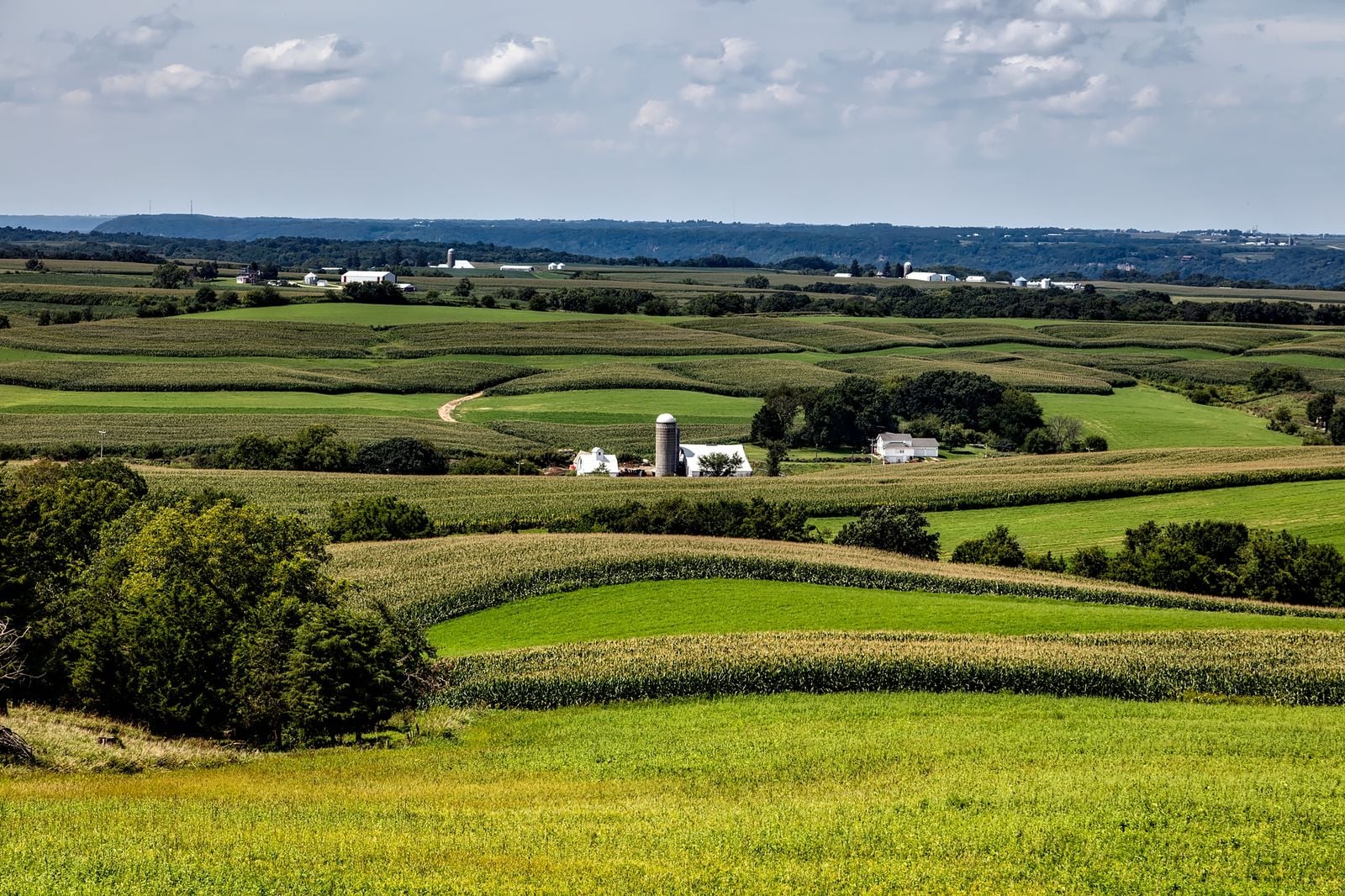 rural Iowa farmland