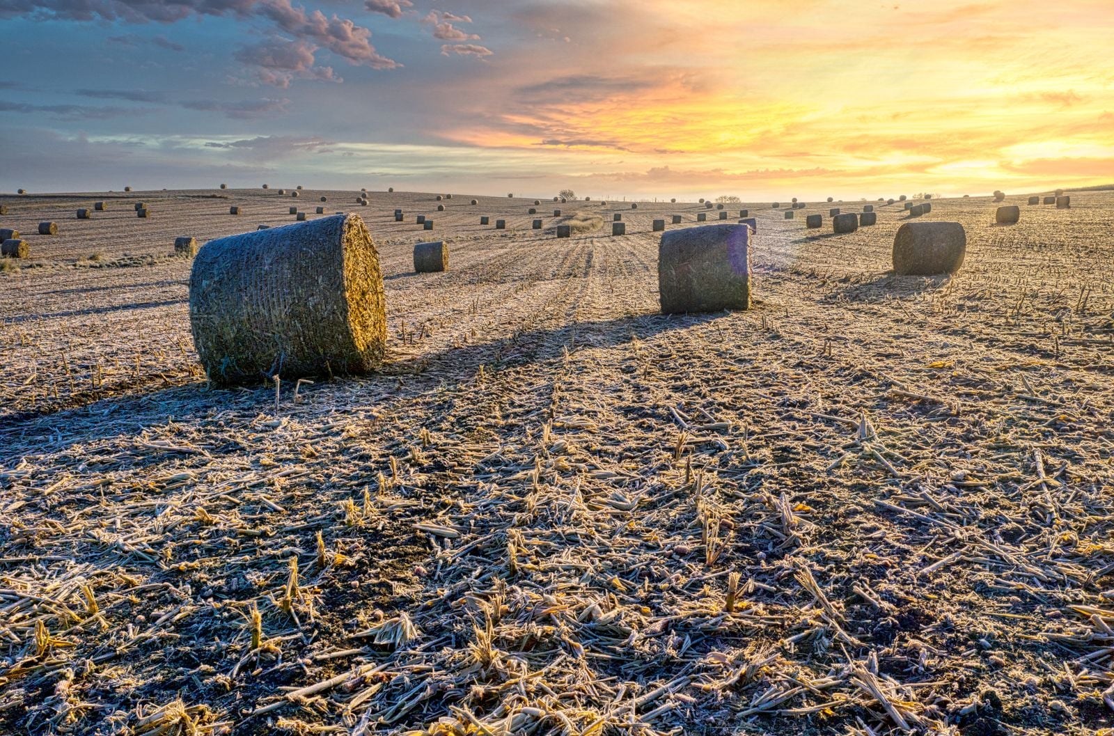 rural Minnesota farmland