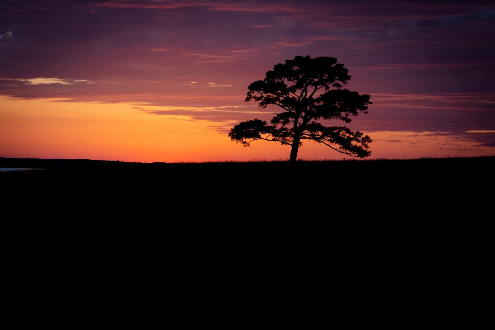 rural texas countryside