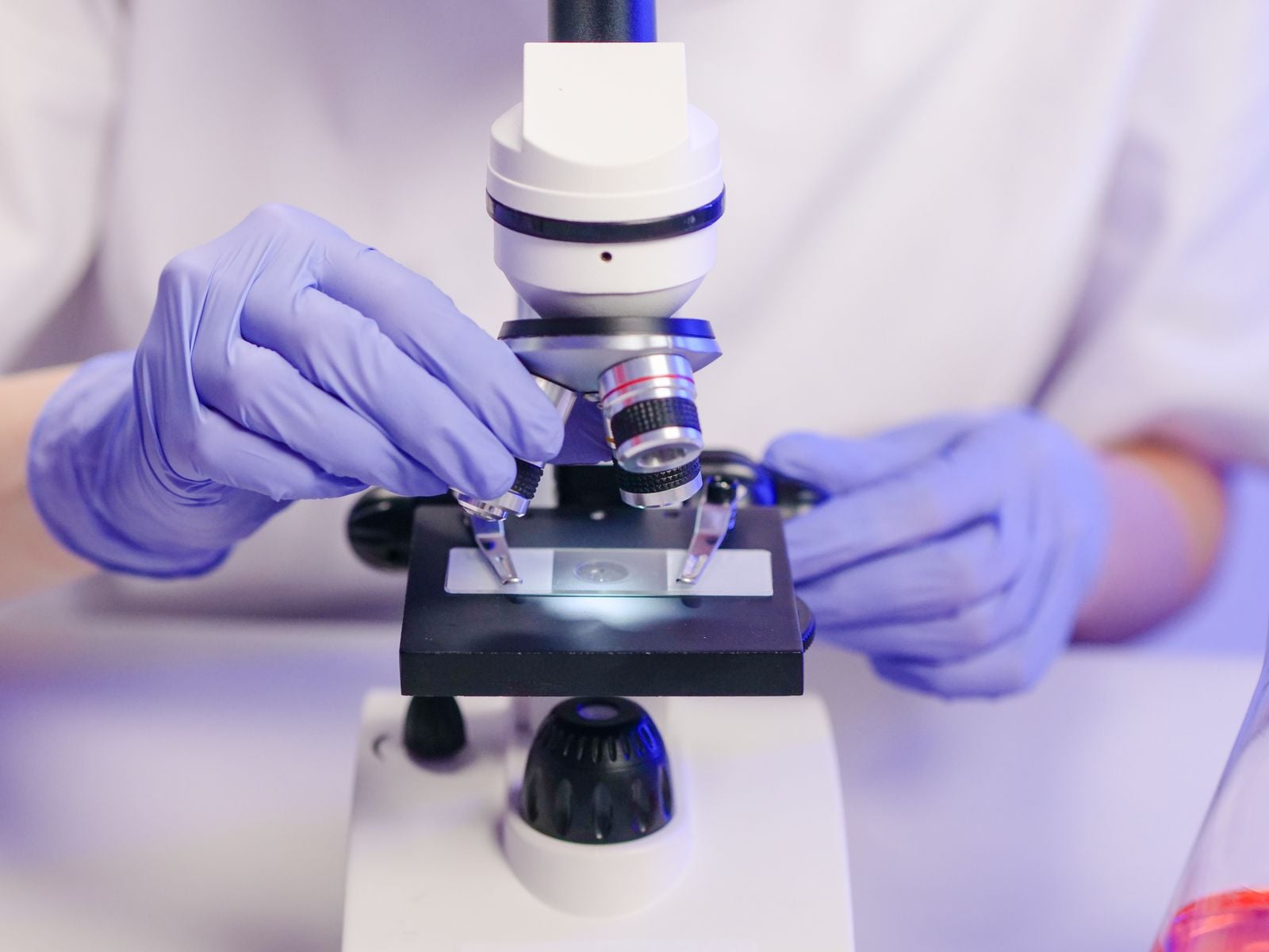 forensic DNA laboratory